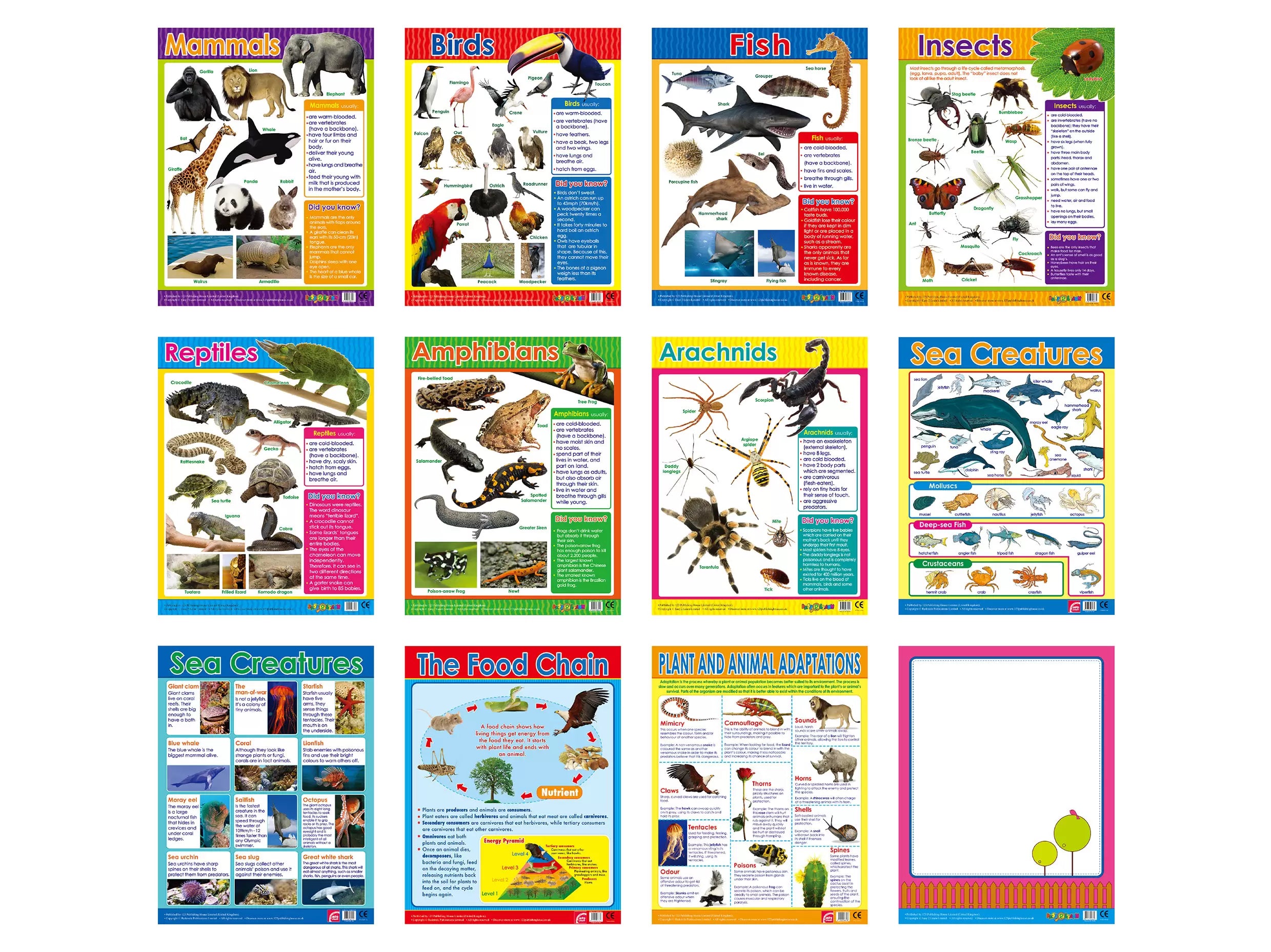 تصنيف الحيوانات (12 لوحة تعليمية) - مجموعة لوحات تعليمية باللغة الإنجليزية