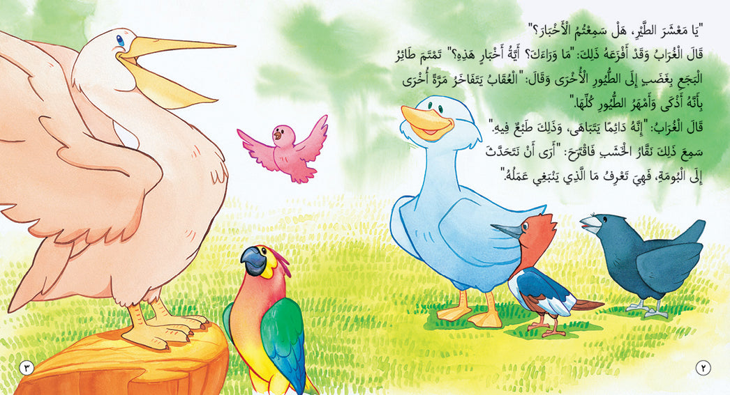 Fahman The Explorer - Beautiful Birds - Book for Kids in Arabic