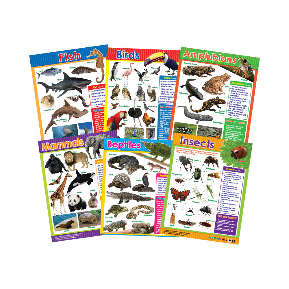 Animal Classification (6 Wall Charts) - Educational Wall Chart Pack in English