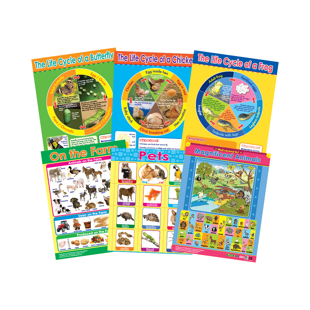 Animals & Life Cycles (6 Wall Charts) - Educational Wall Chart Pack in English