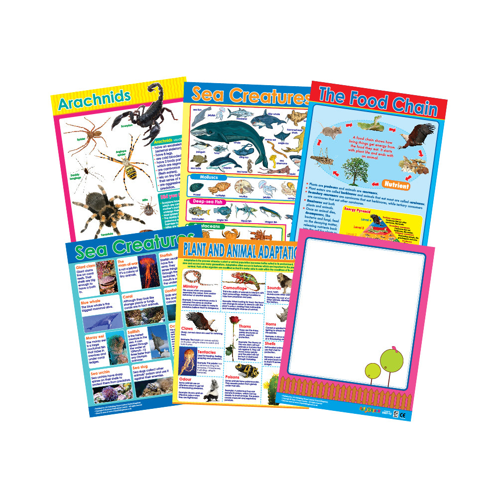 Nature's Wonders (6 Wall Charts) - Educational Wall Chart Pack in English