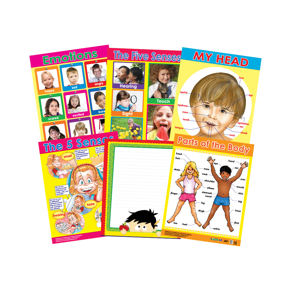 Me & My Body (6 Wall Charts) - Educational Wall Chart Pack in English