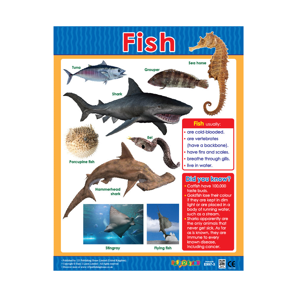 Fish - Wall Chart in English