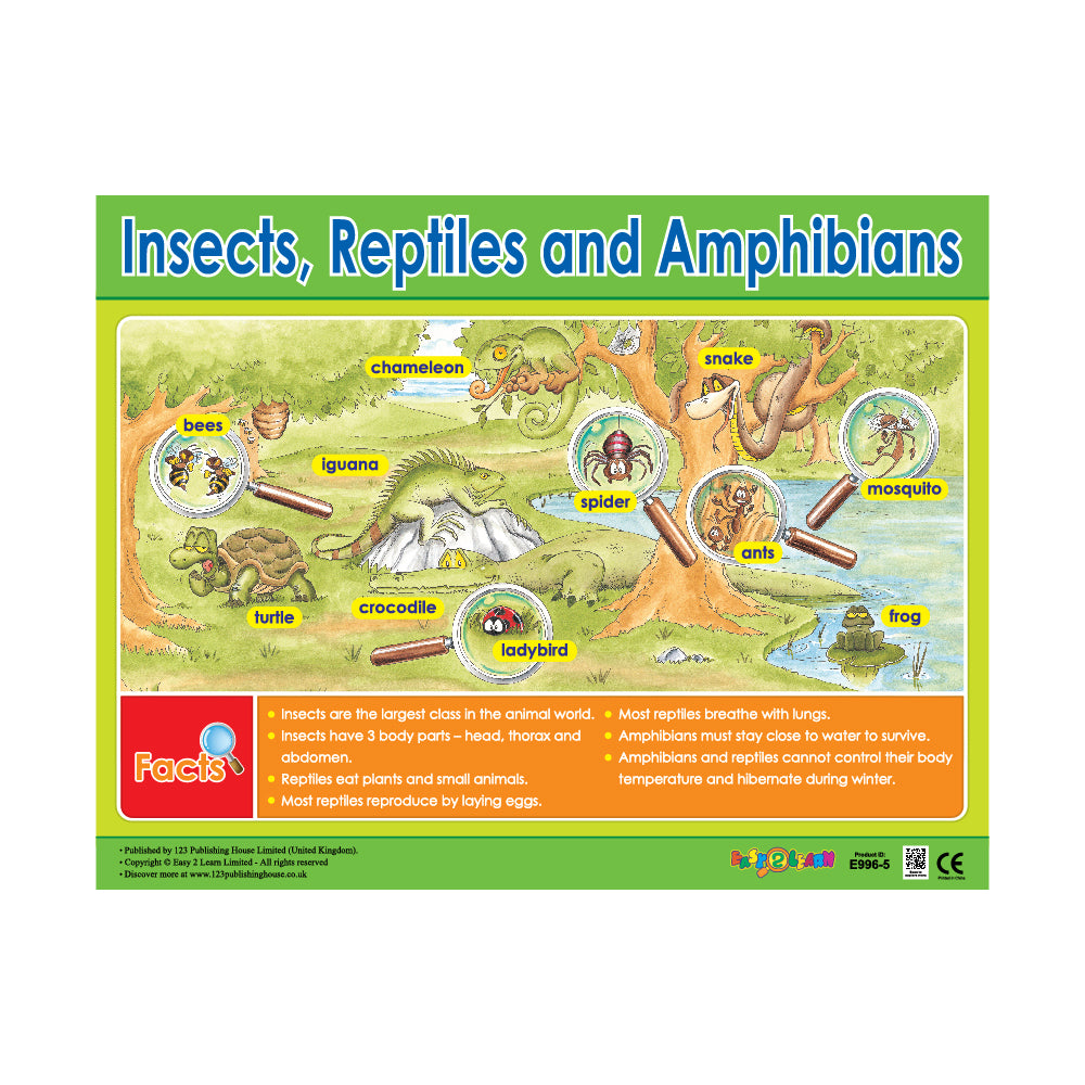 Insects, Reptiles and Amphibians - Wall Chart in English