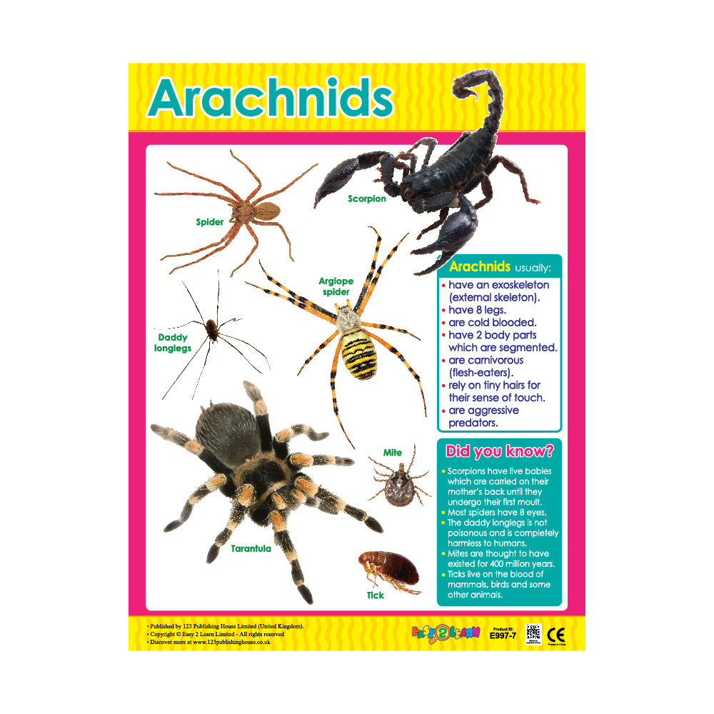 Arachnids - Wall Chart in English