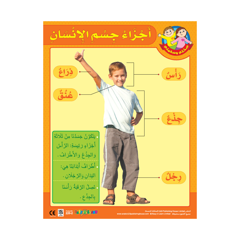 The Body Parts - Wall Chart in Arabic