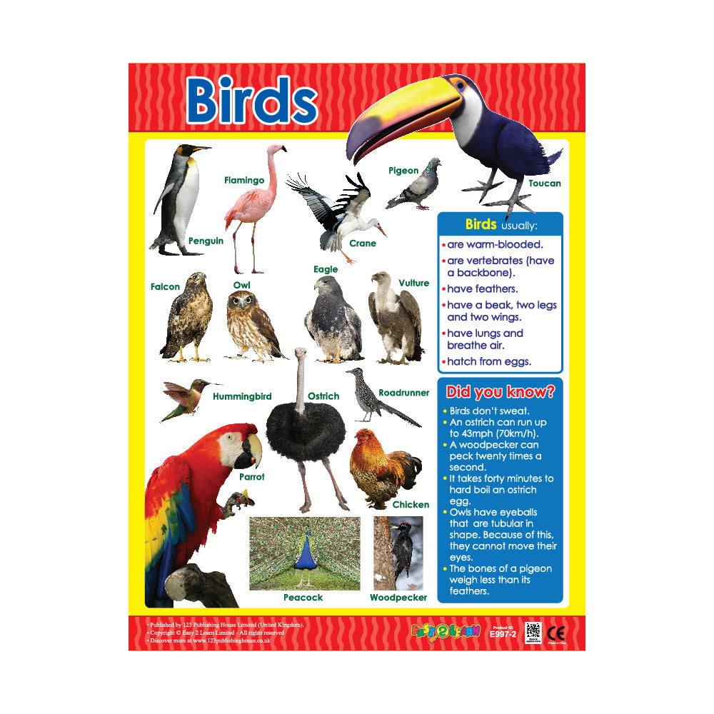 Animal Classification (6 Wall Charts) - Educational Wall Chart Pack in English