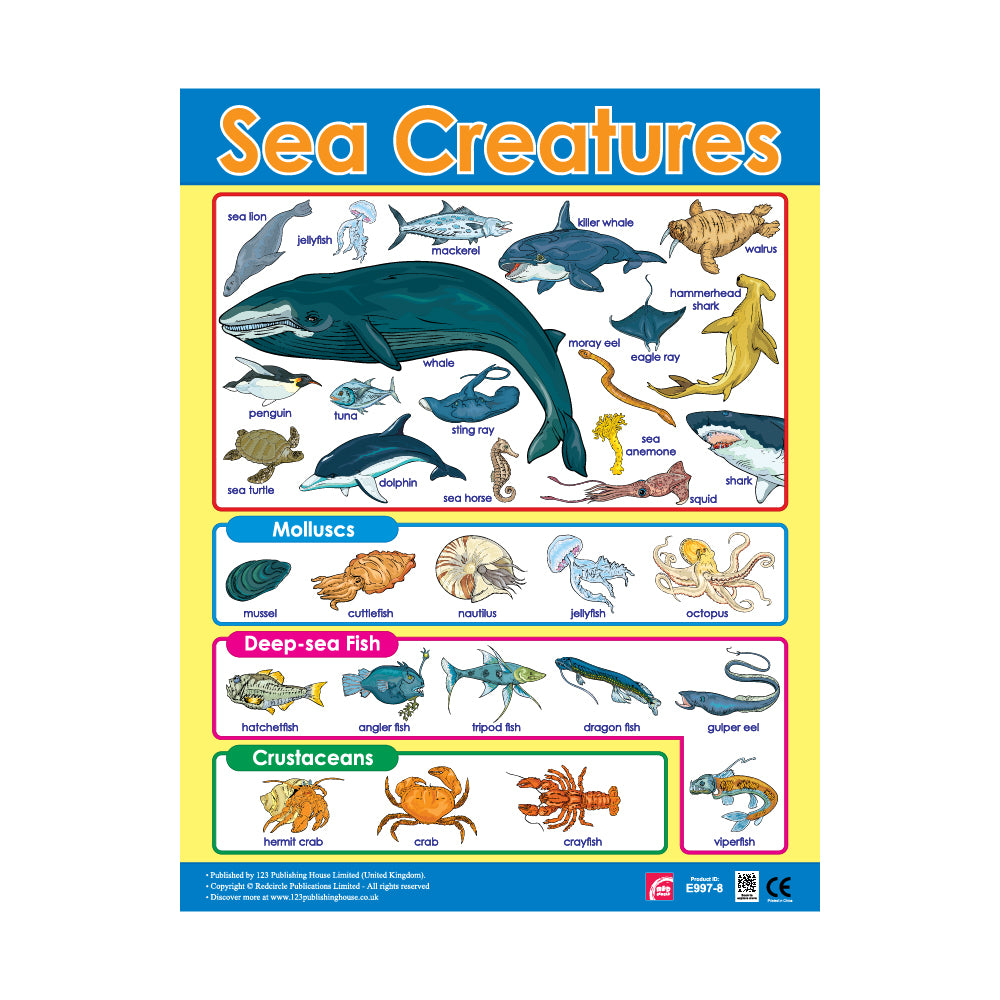 Sea Creatures - Wall Chart in English