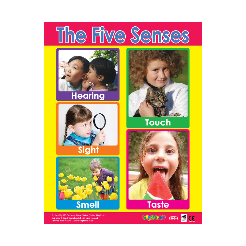 The Five Senses - Wall Chart in English