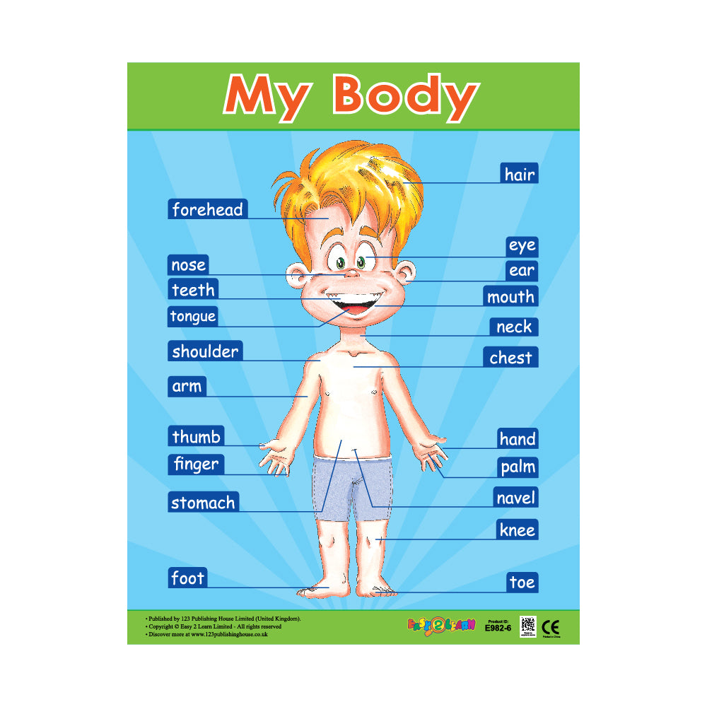 My Body - Wall Chart in English