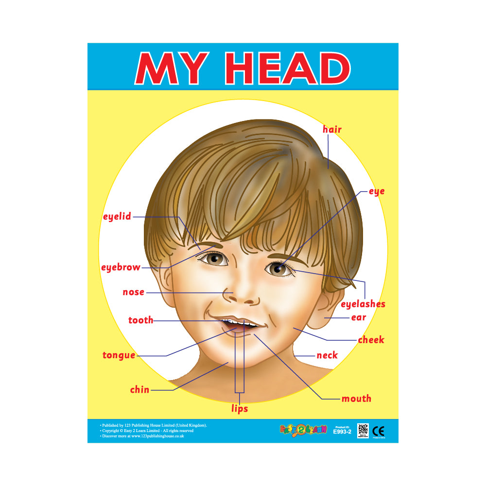 Me & My Body (6 Wall Charts) - Educational Wall Chart Pack in English