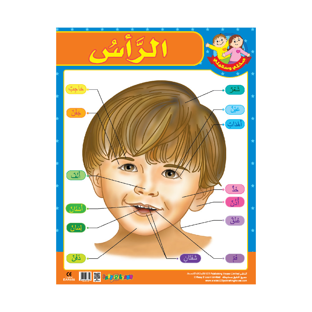 My Body & My 5 Senses (6 Wall Charts) - Educational Wall Chart Pack in Arabic