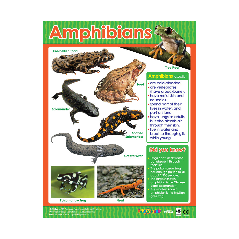 Animal Classification (6 Wall Charts) - Educational Wall Chart Pack in English