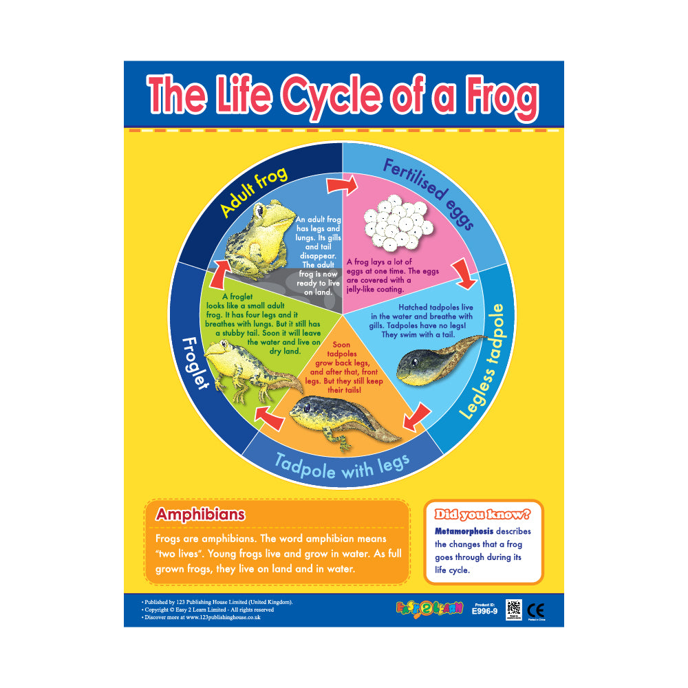 Animals & Life Cycles (6 Wall Charts) - Educational Wall Chart Pack in English