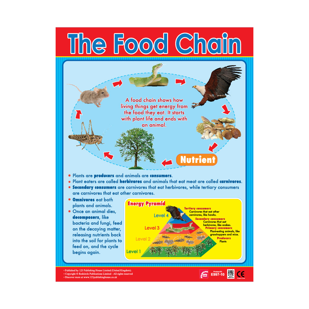 The Food Chain - Wall Chart in English