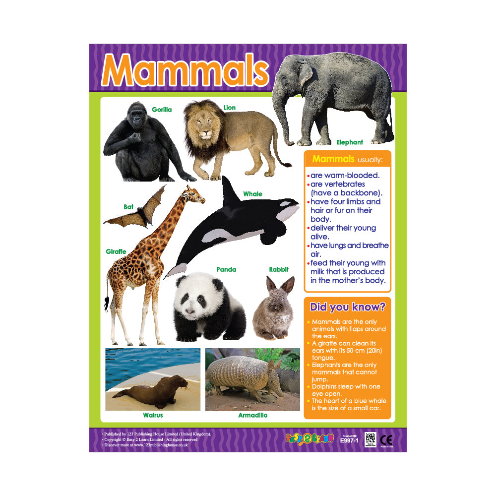 Mammals - Wall Chart in English