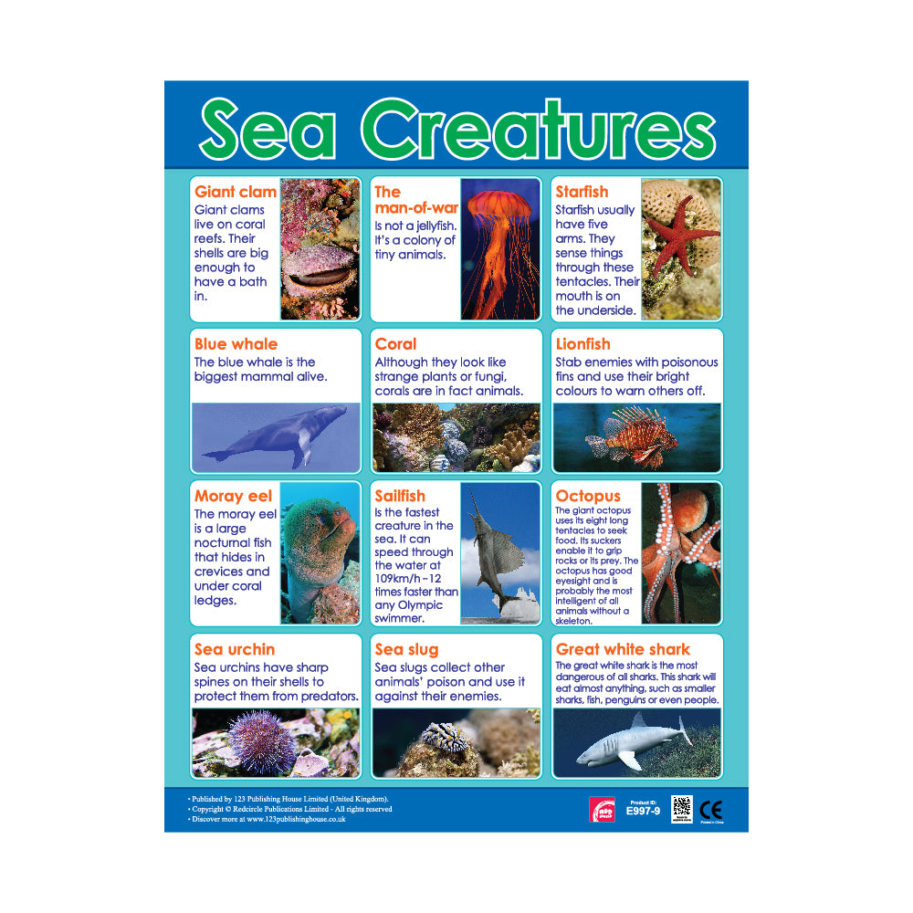 Sea Creatures - Wall Chart in English