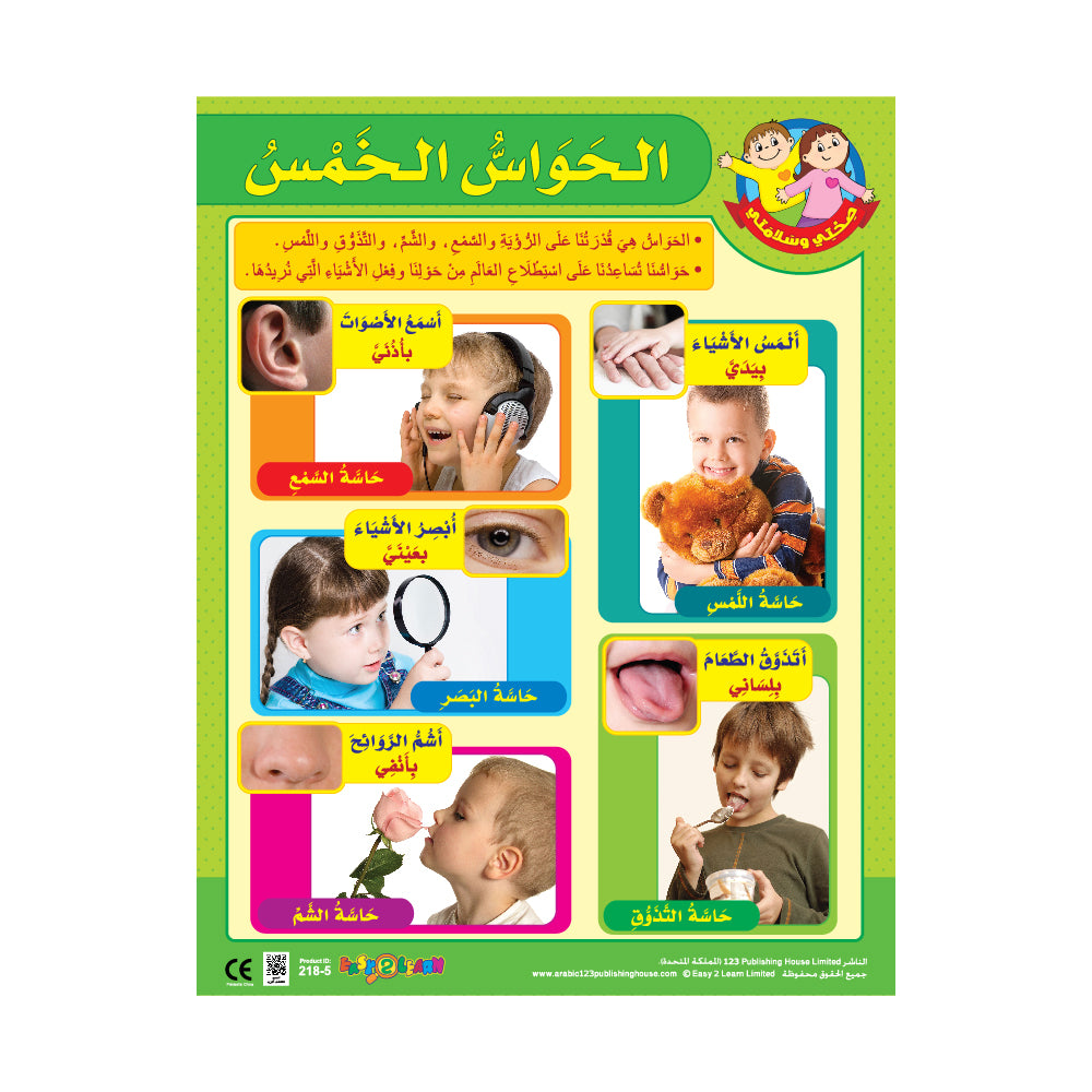 My Body & My 5 Senses (6 Wall Charts) - Educational Wall Chart Pack in Arabic