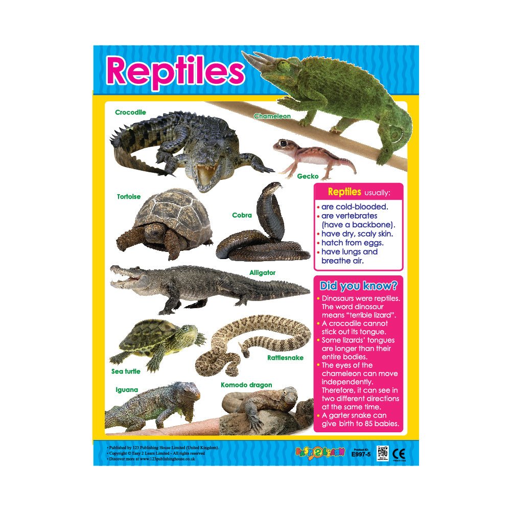 Reptiles - Wall Chart in English