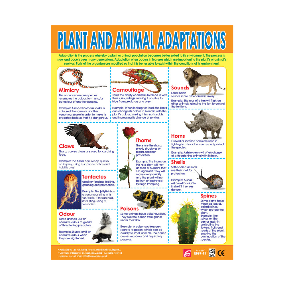 Plants and Animal Adaptations - Wall Chart in English