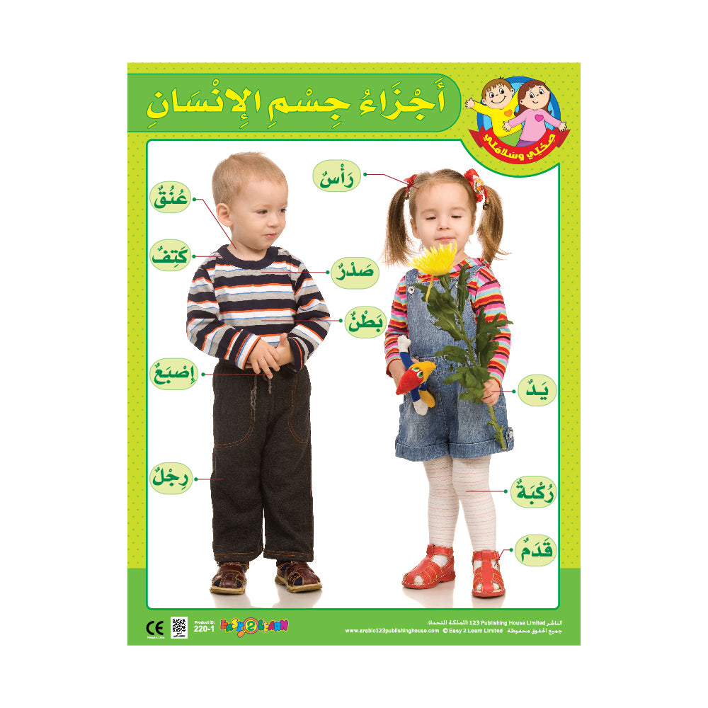 My Body & My 5 Senses (6 Wall Charts) - Educational Wall Chart Pack in Arabic