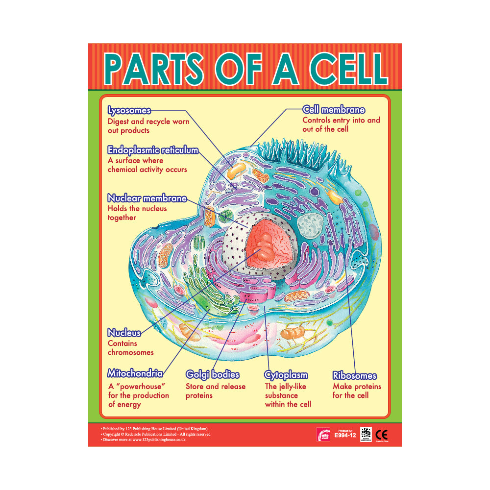 Parts of a Cell - Wall Chart in English