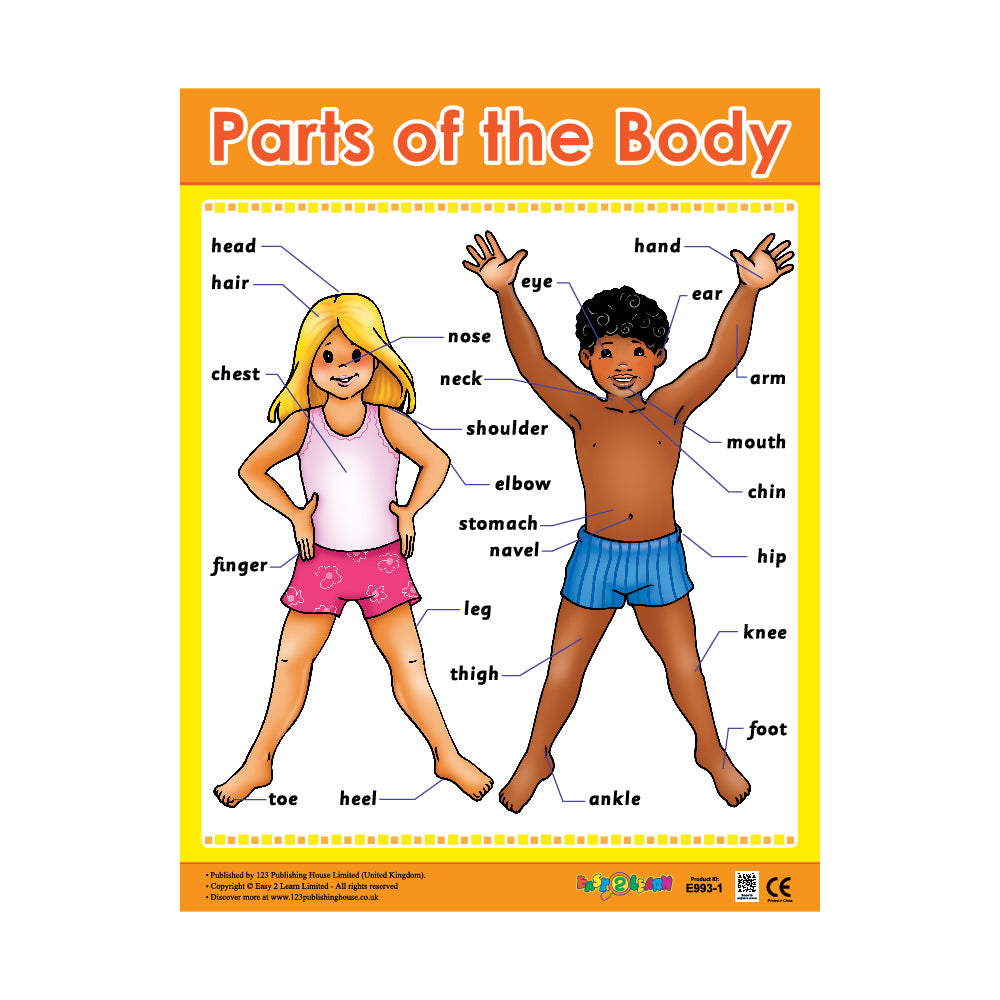 Parts of the Body - Wall Chart in English